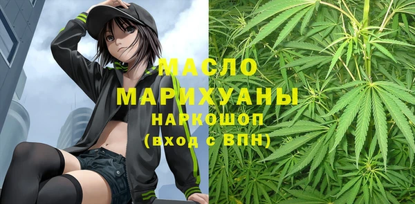 шишки Гусиноозёрск