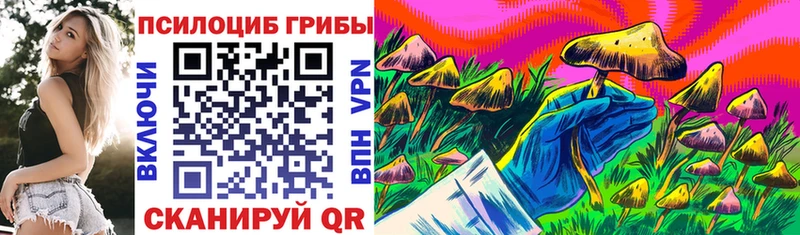 Галлюциногенные грибы прущие грибы  Олонец 